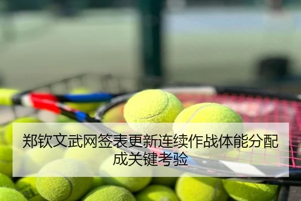 郑钦文武网签表更新连续作战体能分配成关键考验（c7）